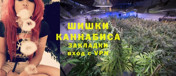 гидра Горнозаводск