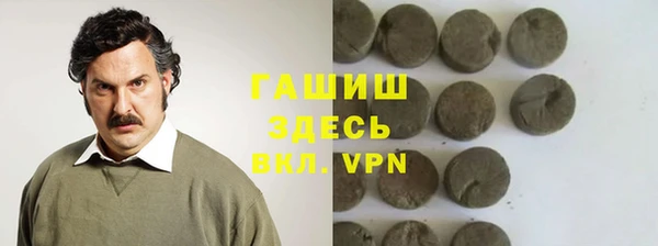 гидра Горнозаводск