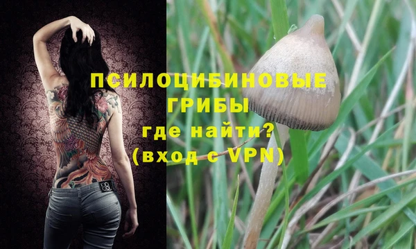 гидра Горнозаводск
